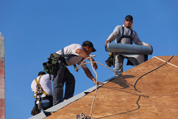 Best Metal Roofing Contractor  in Stanfield, NC